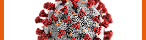 nuovo coronavirus ioz